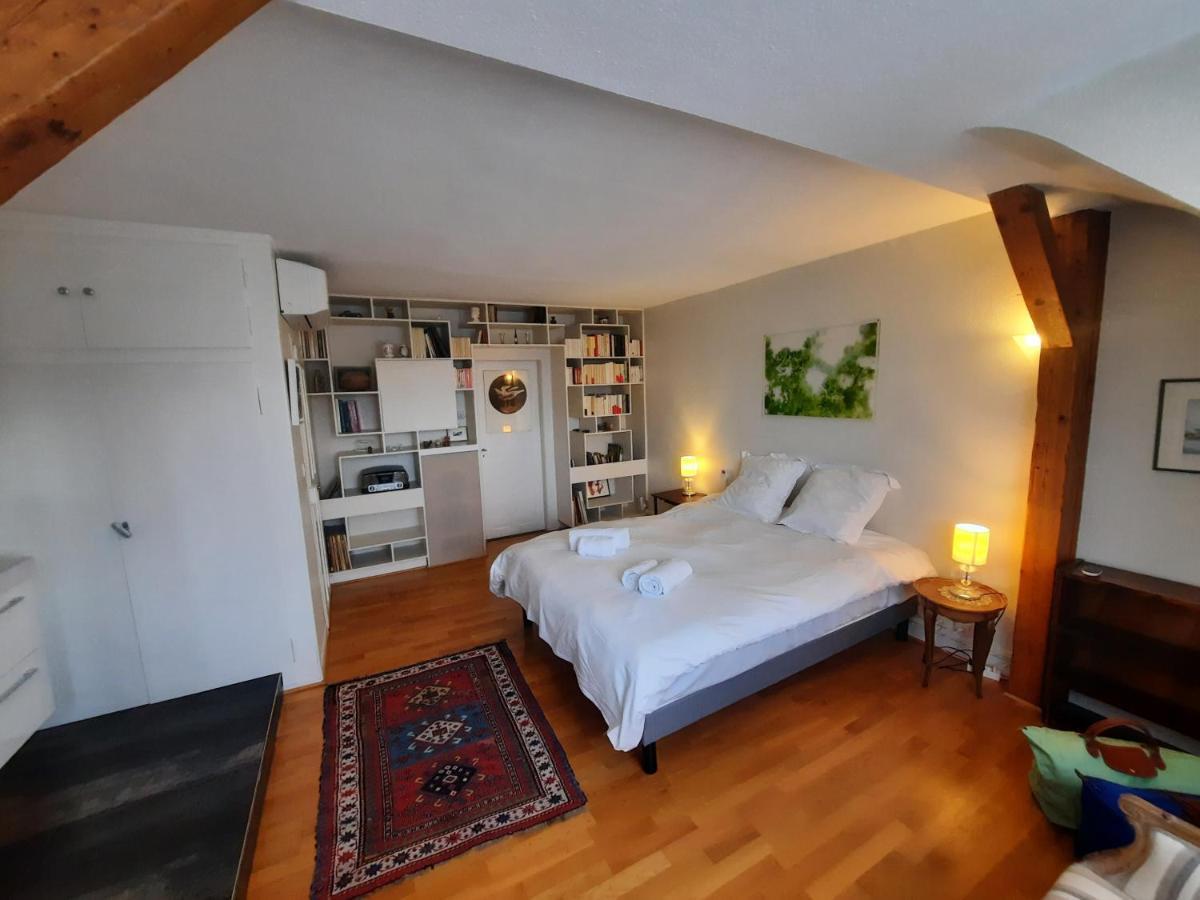145M² City Center 4 Bedrooms View Of The Cathedral Strasburg Zewnętrze zdjęcie