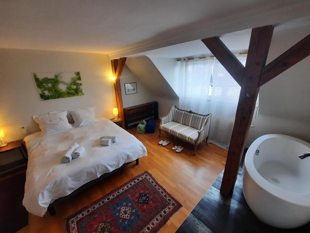 145M² City Center 4 Bedrooms View Of The Cathedral Strasburg Zewnętrze zdjęcie